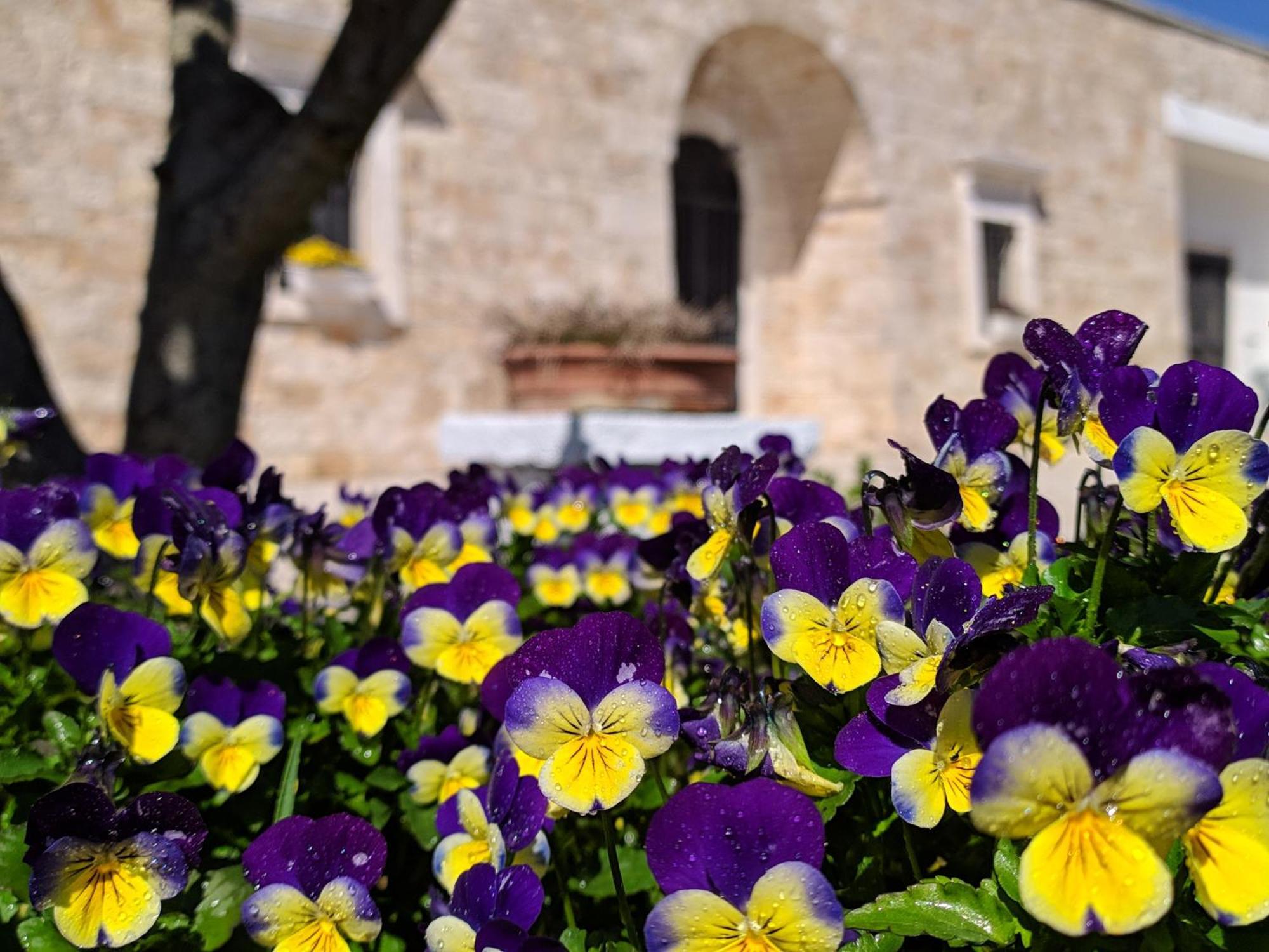 Il Sogno Aparthotel Alberobello Exterior foto